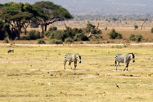 Kenia (145)